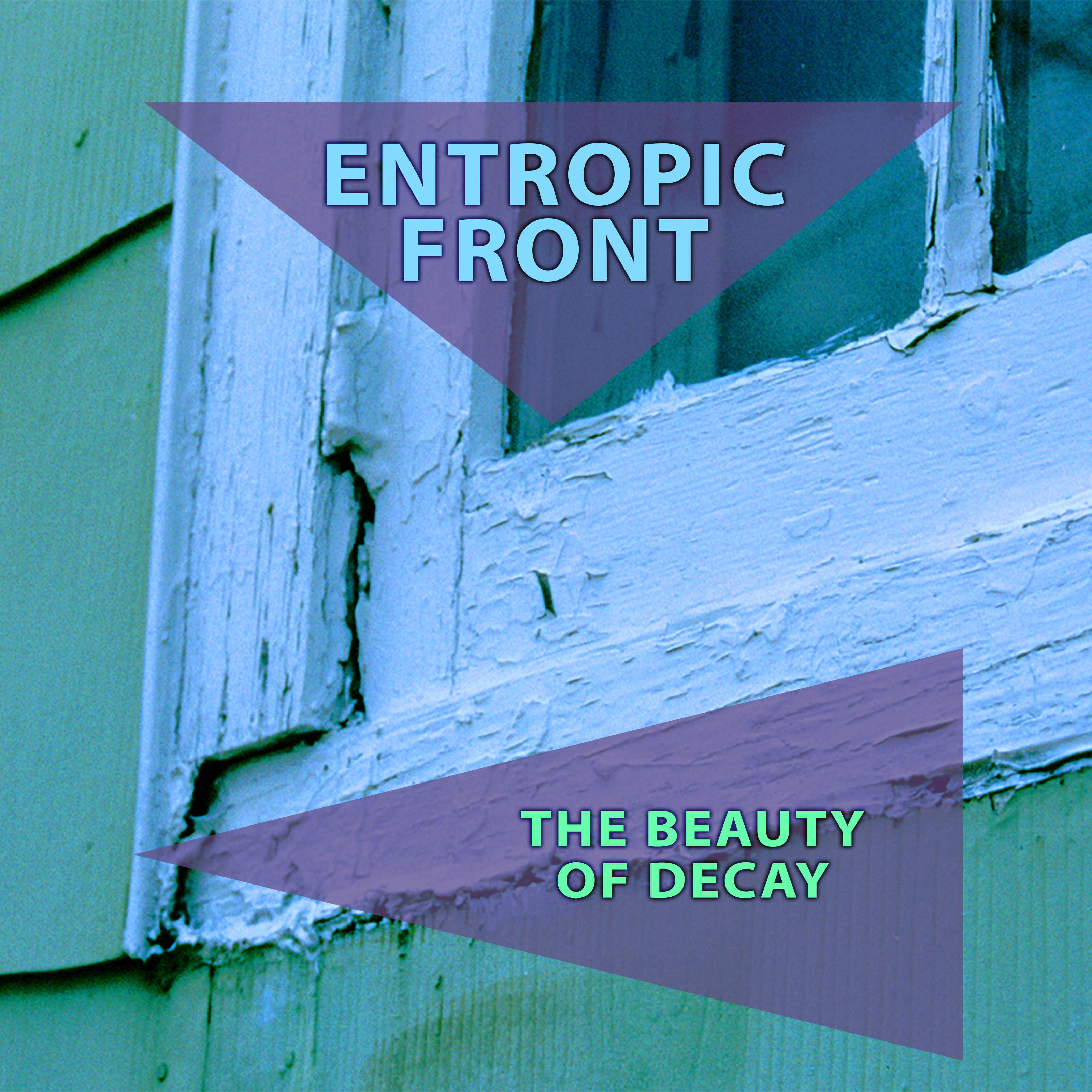 Beauty of Decay album cover art